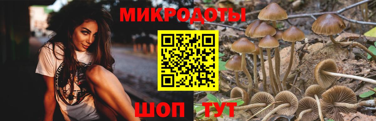 Галлюциногенные грибы мухоморы Изобильный
